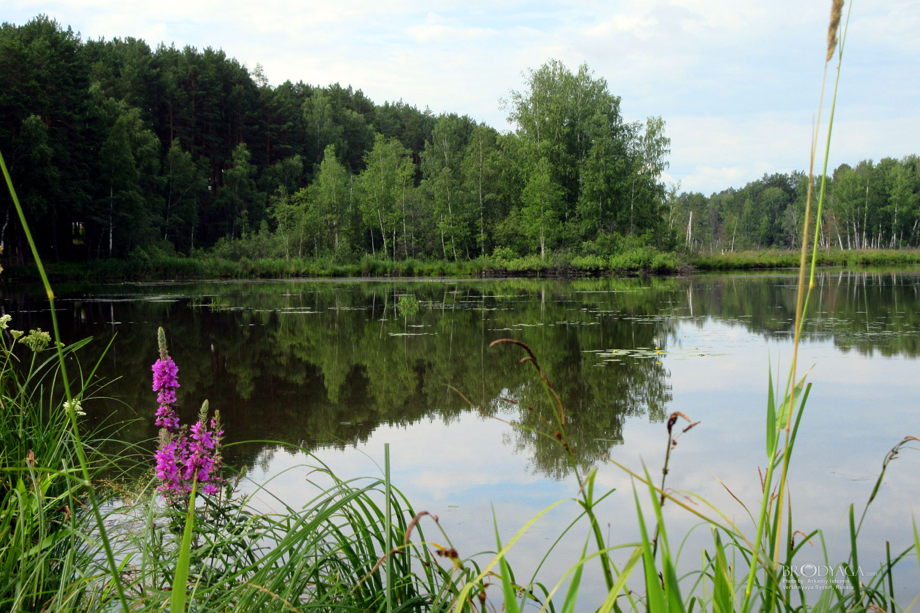Verkhnyaya Sysert (Верхняя Сысерть)